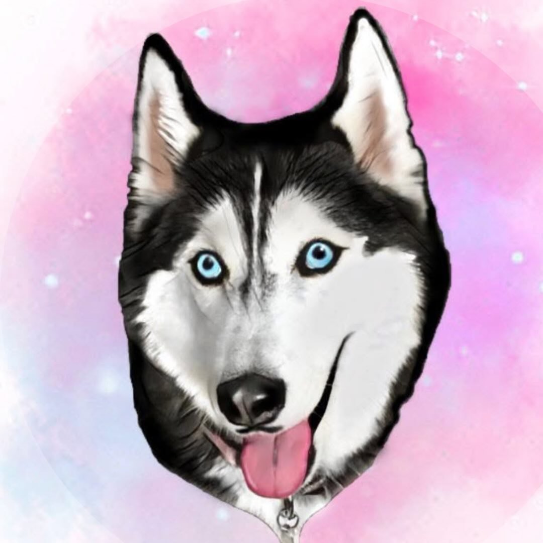 @meekathehuskyy
